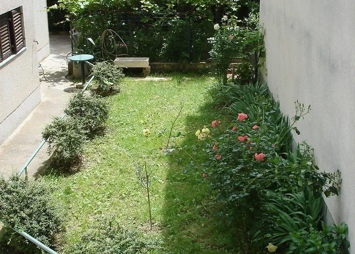 Firule Center Rooms